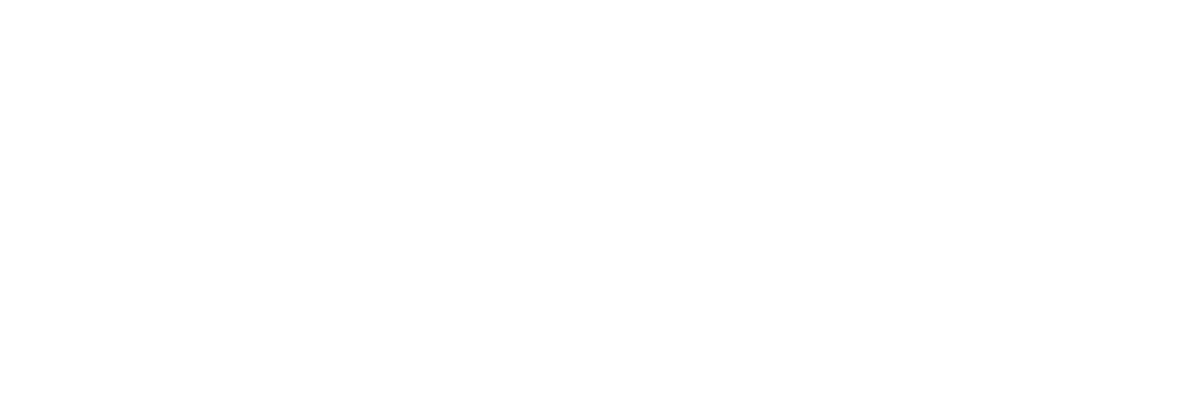 Logo Apex Academy